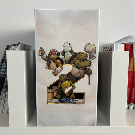 LOST YEARS ISSUE 2 - "NEW TURTLES" BOOKSHELF BOX