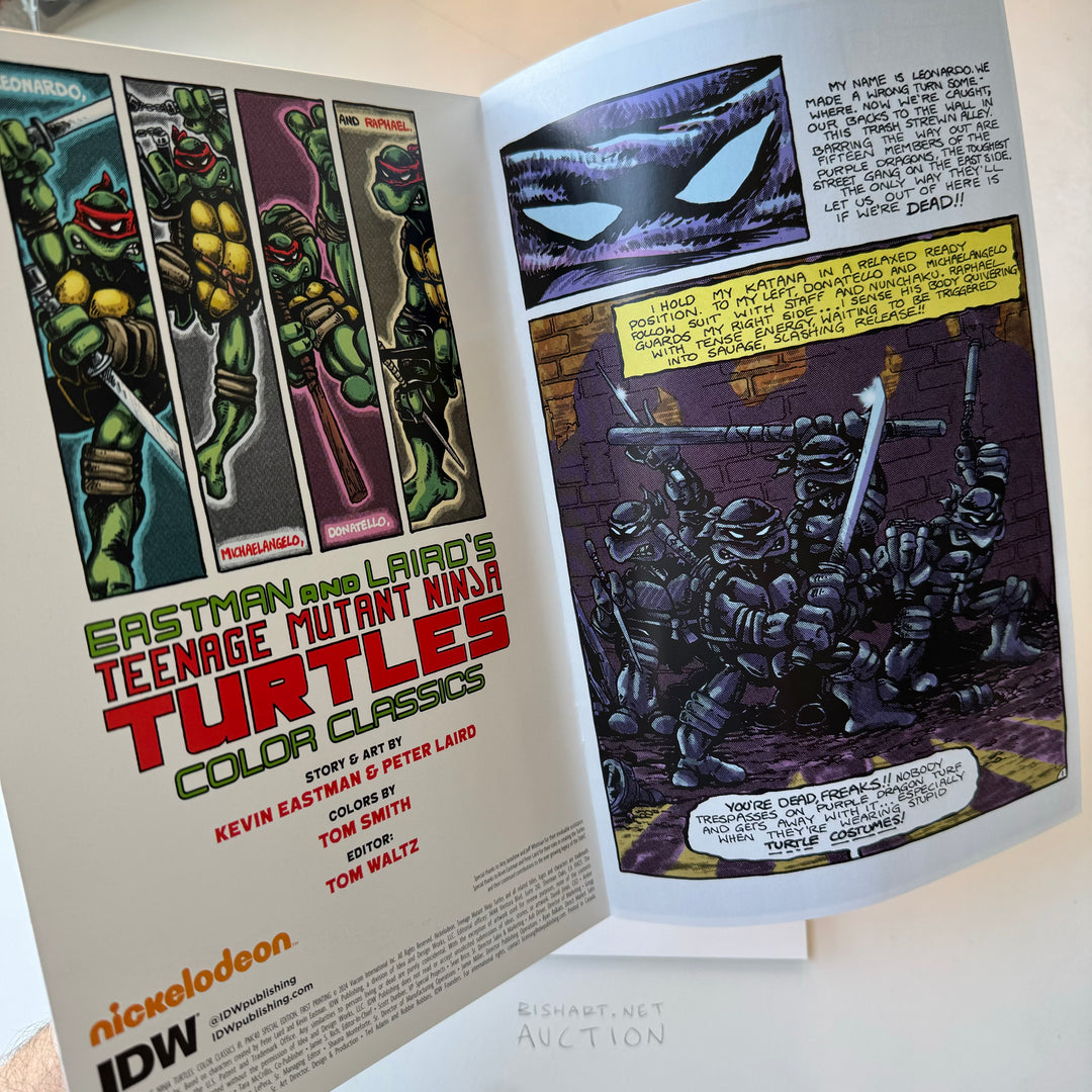 TMNT 1 - COLOR CLASSICS - BISHART KIDS CLUB - METAL TIER - METAL VARIANT EXCLUSIVE - 25 MADE - SIGNED & SKETCHED